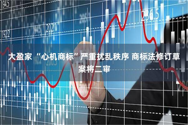 大盈家 “心机商标”严重扰乱秩序 商标法修订草案将二审